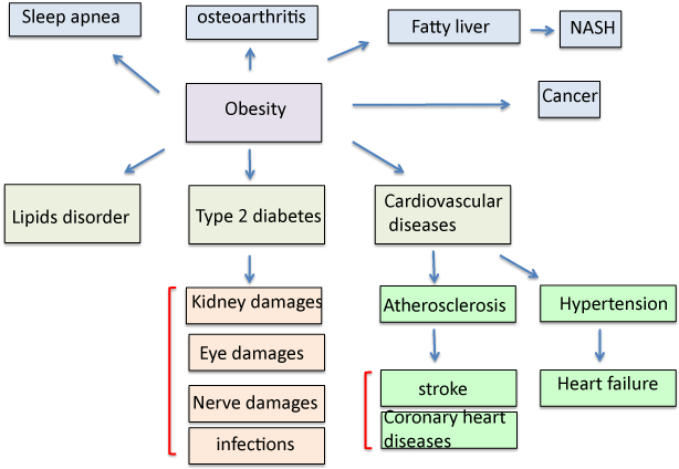 Nutritional Treatment of Obesity and Related Diseases